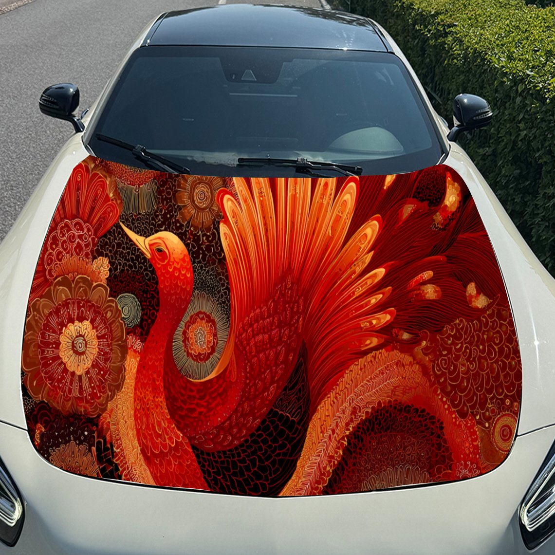Прохладный красный Феникс, нак – обзор и цена Car Accessories Phoenix